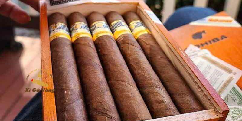 Cohiba có độ mạnh tăng dần theo từng giai đoạn hút.